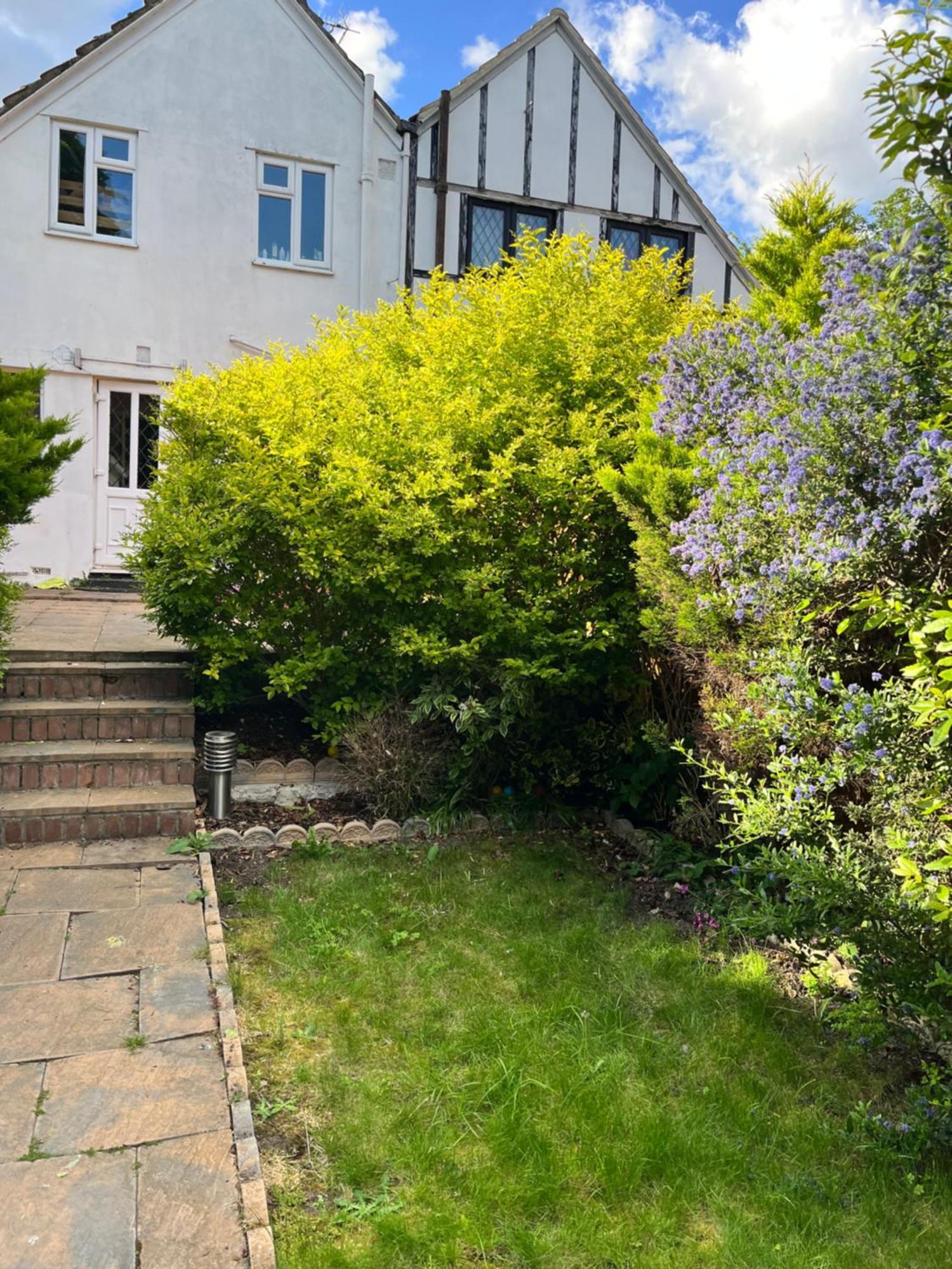 Cosy Garden Cottage Belvedere Extérieur photo